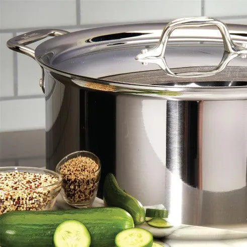 All-Clad 6 Qt Stock Pot with Lid, Stainless Steel