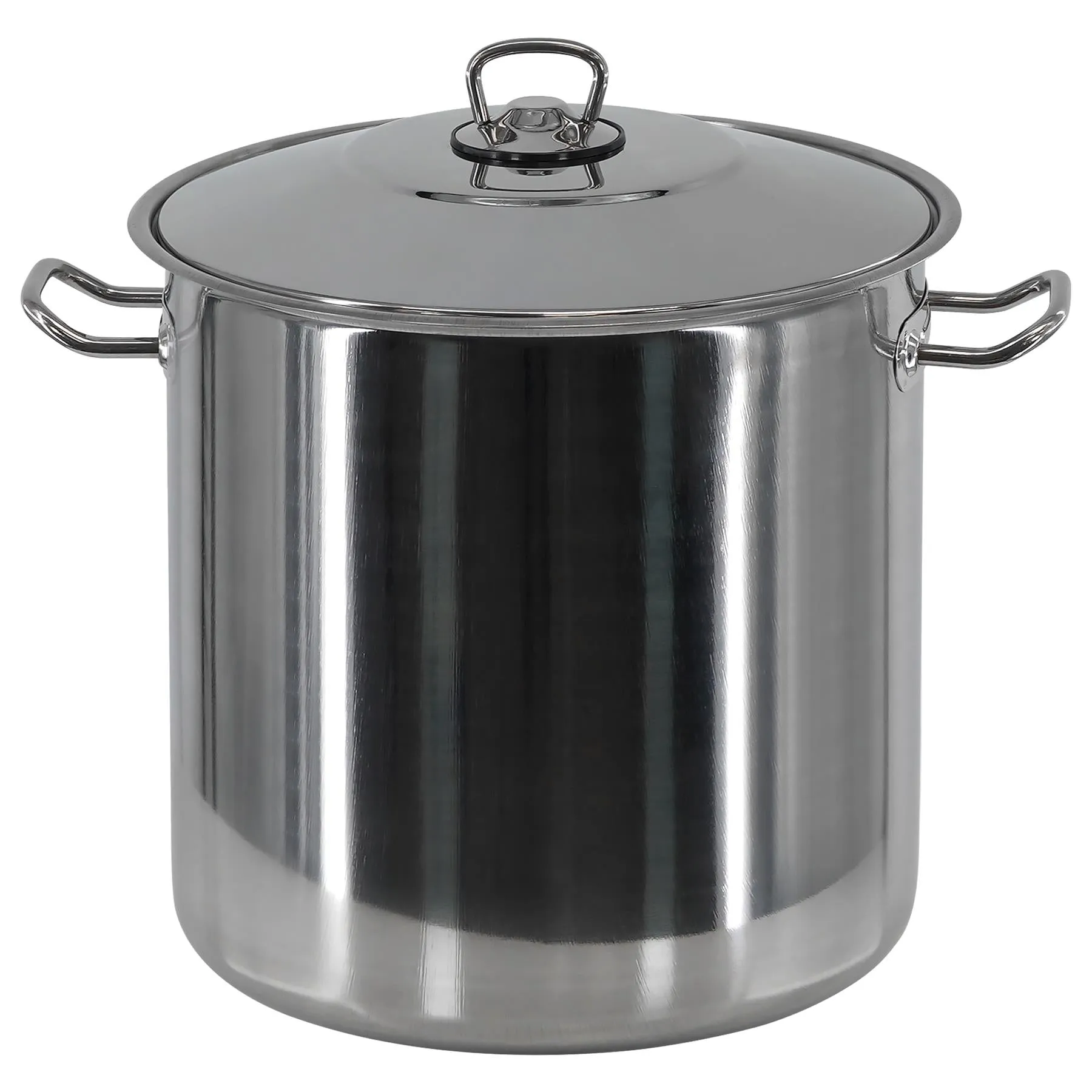 Arian Gastro Stock Pot - 21 Litre